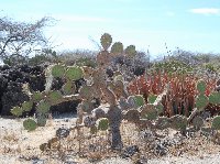 All Inclusive Honeymoon in Aruba Oranjestad Travel Package