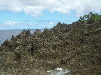 The Landscapes of Niue Island Alofi Photograph