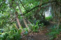 Pitcairn Island photos and travel tips Adamstown Pitcairn Islands Travel Blog