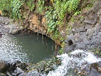 Grenada Island pictures St Georges Review Photo