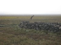 The Gobi Desert in Mongolia Kharkhorin Vacation Guide
