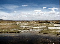 From Arequipe to Chivay and Colca Canyon Peru Travel