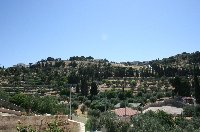 Walking tours in Jerusalem Israel Review Photograph