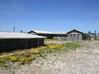 Robben Island Tour Cape Town South Africa Review Sharing