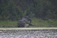 Gweru Antelope Park Zimbabwe Blog