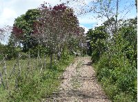 San Agustin Colombia Picture gallery