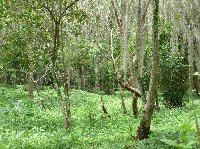 San Gil Colombia Travel Album