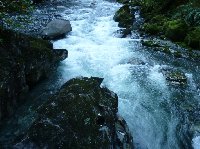 Milford Sound New Zealand Vacation Picture