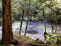 Abel Tasman tours New Zealand Collingwood Blog Pictures