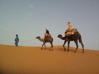 Camel Trek Merzouga dunes