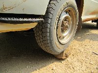 Uganda wildlife safari Kasese Diary Pictures