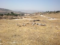 Day Tour to Jerash Jordan Trip Experience