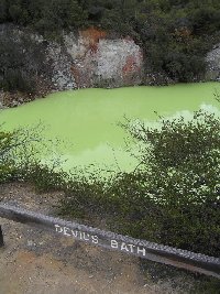 Sightseeing Rotorua touring New Zealand Travel Gallery