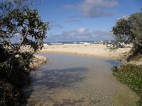 Fraser Island 4wd Tour Australia Trip Review