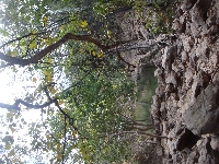 Kimberley Tour to Tunnel Creek Fitzroy Crossing Australia Holiday Experience