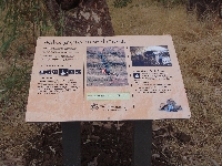 Kimberley Tour to Tunnel Creek Fitzroy Crossing Australia Diary Picture