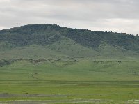 Serengeti NP Tanzania migration safari Seronera Blog Pictures