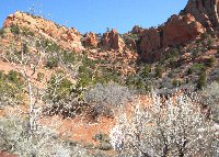 Zion National Park United States Holiday Photos