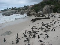 Travel to Cape Town South Africa Review Picture