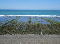 Puerto Madryn Patagonia Wildlife Tours Argentina Review