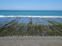 Puerto Madryn Patagonia Wildlife Tours Argentina Review