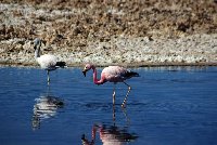 Touring the Atacama Desert Chile San Pedro de Atacama Album Sharing