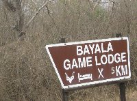 Hluhluwe Game Reserve Bayala South Africa Blog Photography