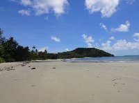 Cape Tribulation tours from Cairns Australia Photos