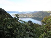 Queen Charlotte Track New Zealand Totaranui Travel Information