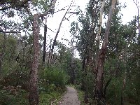 Grampians NP day trip from Melbourne Halls Gap Australia Travel Diary