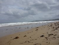 Great Ocean Road Tour from Melbourne Australia Album Photos