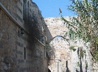 Tour by bus from Palmyra to Hamah Syria Travel Guide