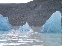 Mount Cook,  New Zealand Lake Tekapo Diary Experience