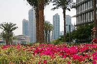 Burj Khalifa Dubai United Arab Emirates Vacation Photos