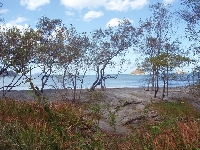 Studying abroad in Costa Rica Playa Flamingo Picture Sharing