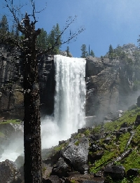 Touring Yosemite National Park United States Holiday Photos