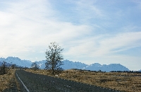 Touring from Kaikoura in Camper New Zealand Album Photos