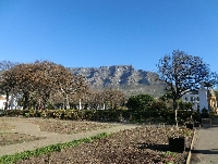 Cape Town Coastline South Africa Review Photograph