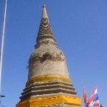 Ayutthaya tour Thailand Travel Picture Siamese Cat vs Snake battle at Wat Gudidao