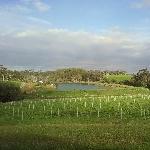 The Vineyard, Margaret River Australia