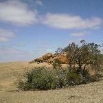 Wave Rock Australia