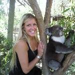 Photo with koala