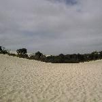 Kangaroo Island Australia Little Sahara KI