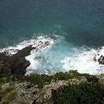 Bridgewater Bay Australia Seals hangout