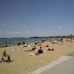   Melbourne Australia Experience