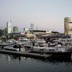 Things to do in Merry Melbourne Australia Diary