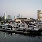 The Docklands panorama