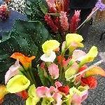 Fresh flowers at Salamanca Place