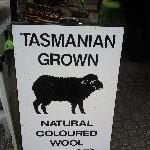 The Salamanca markets in Hobart Australia Blog Review