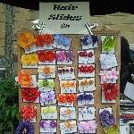 The Salamanca markets in Hobart Australia Vacation Picture
